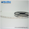 3 Jahre Garantie SMD2835 LED Streifen Licht mit Ce Markiert